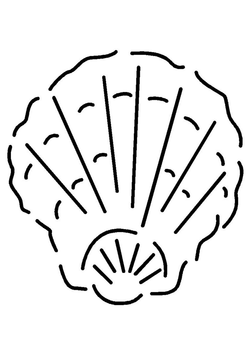 coquillage-856-standard-aulwzy.png