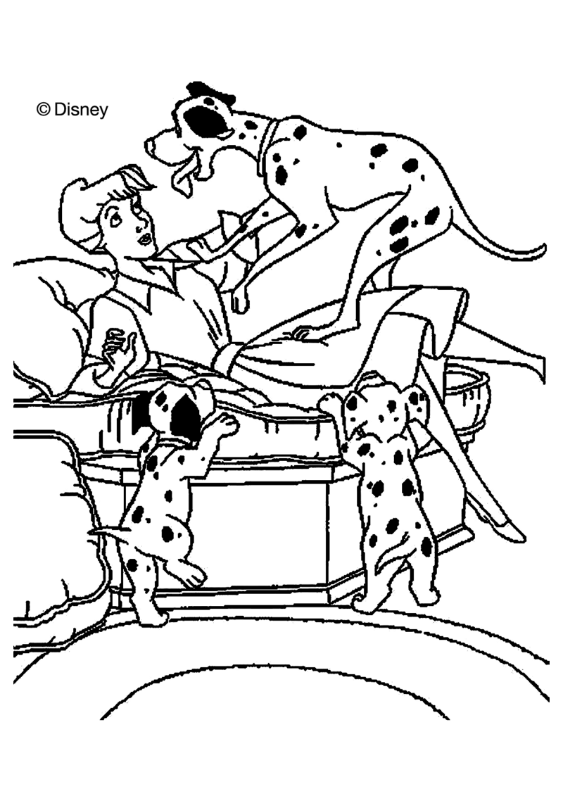 dalmatien-001-standard-dj1bvi.png