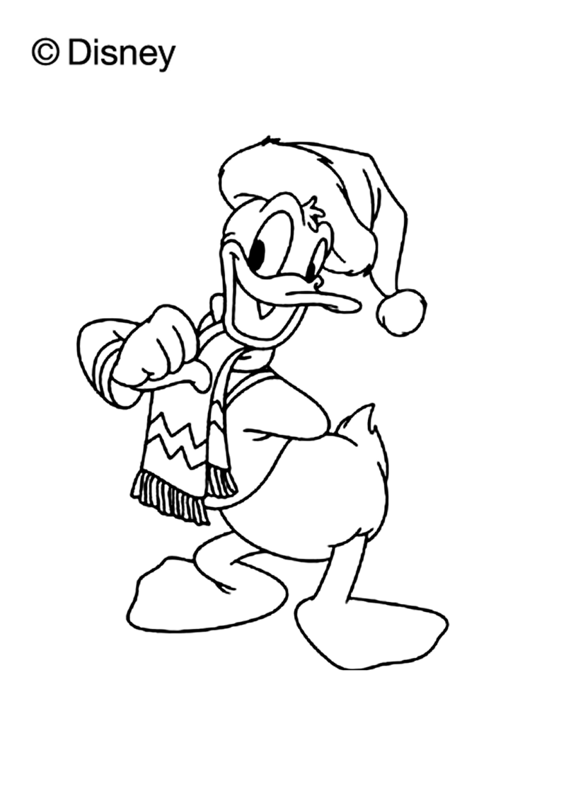 donald-181-standard-phpy8b.png