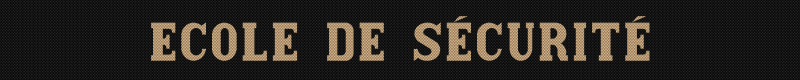 ecole-de-s-curit-standard-9qpnl5.png