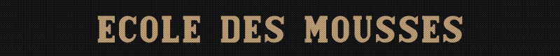 ecole-des-mousses-standard-v8tsu2.png