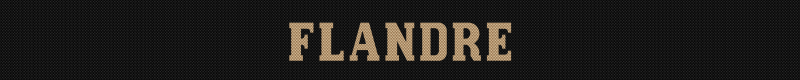 flandre-standard-znkusu.png