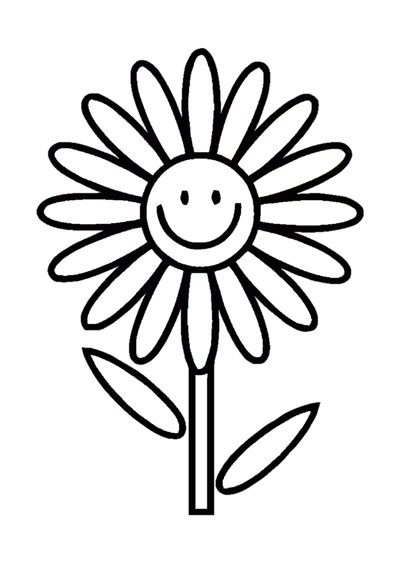 fleur-501-standard-hb5t03.png
