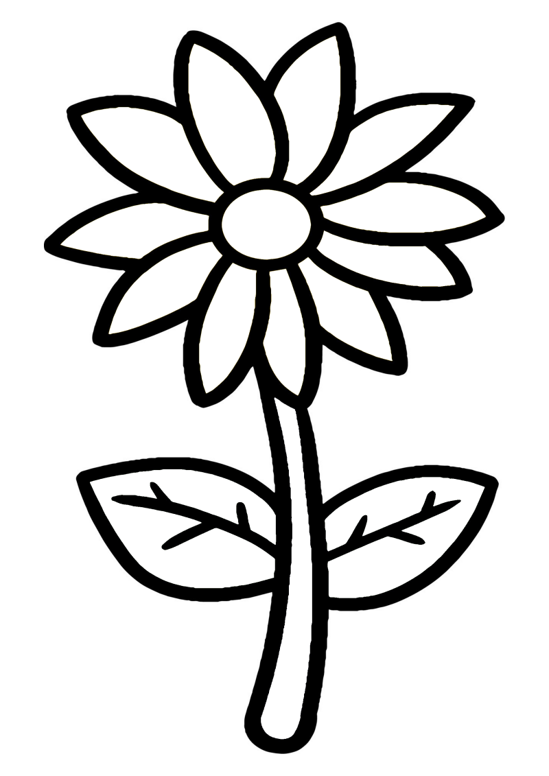 fleur-502-standard-7avpc9.png
