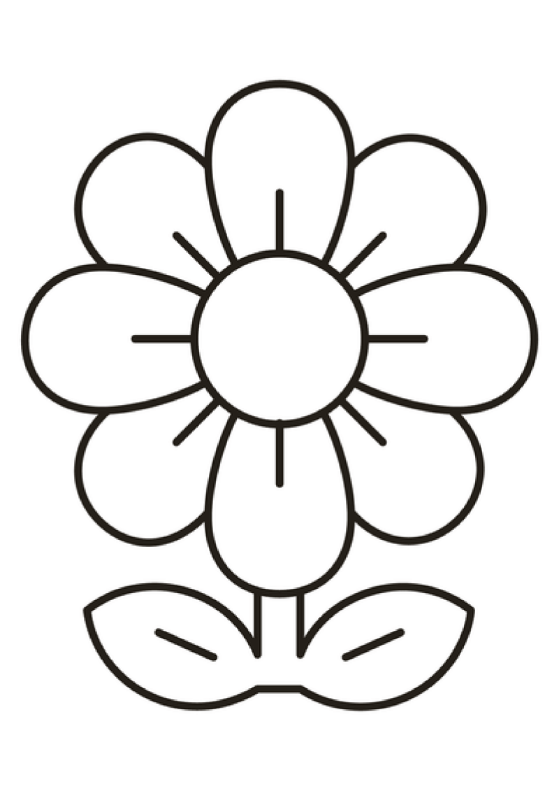 fleur-503-standard-jlplup.png
