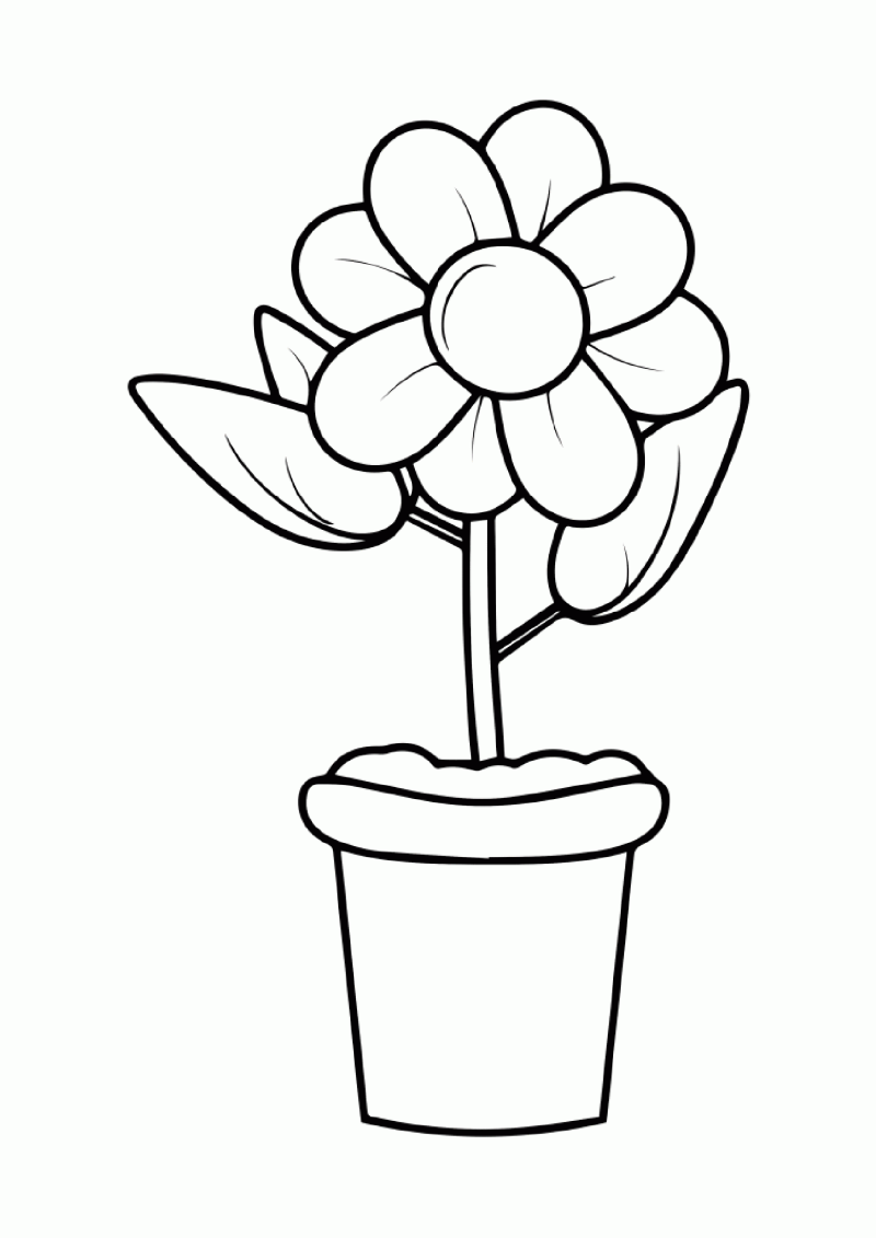 fleur-504-standard-inodcj.png