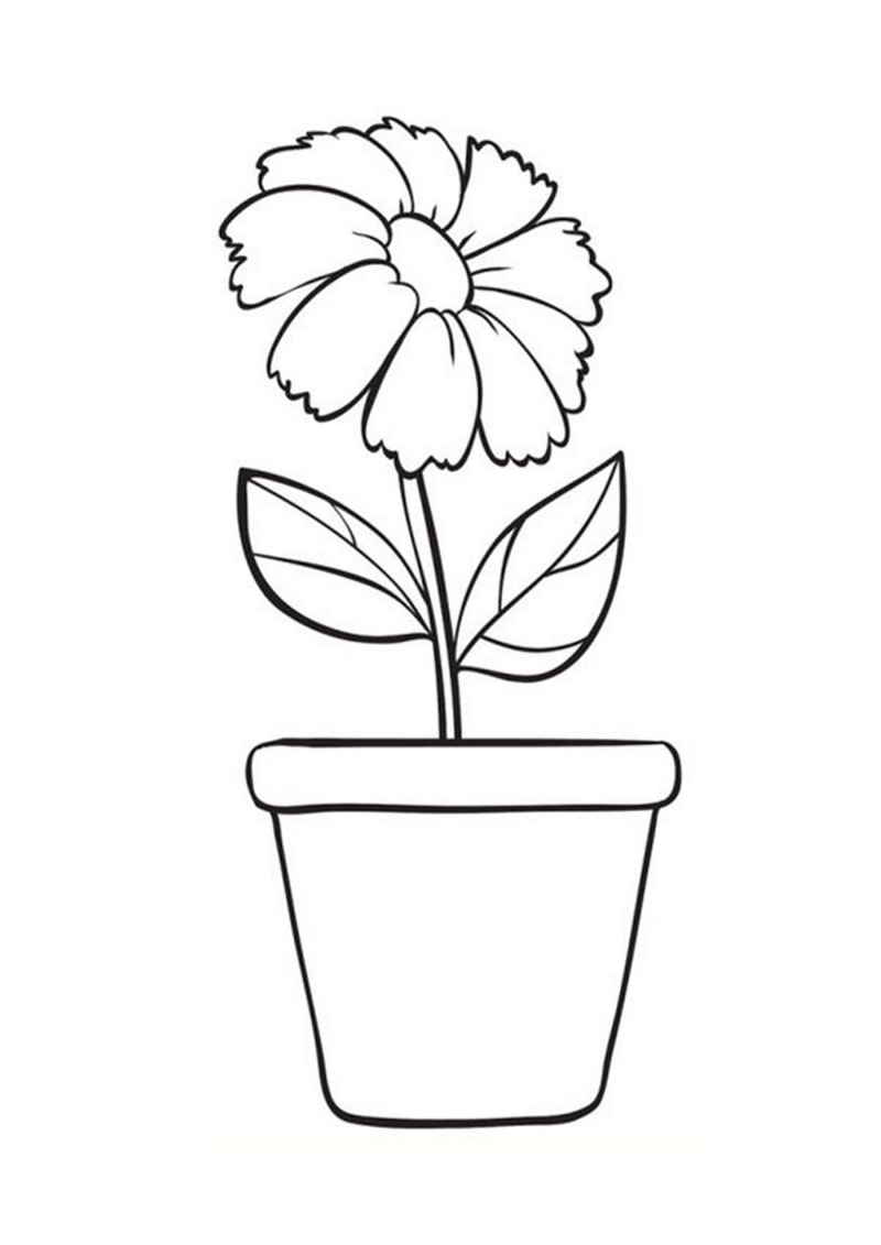 fleur-508-standard-c4k2bw.png