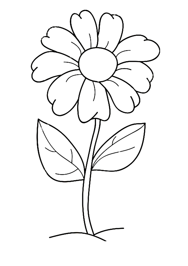 fleur-510-standard-oglkfb.png