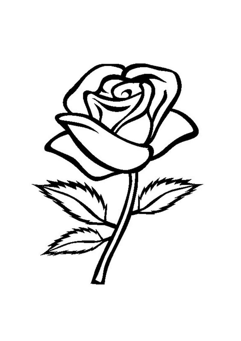 fleur-512-standard-or7sgt.png