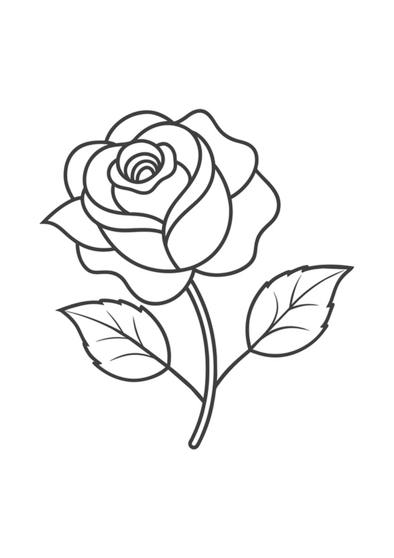 fleur-513-standard-gckhf5.png