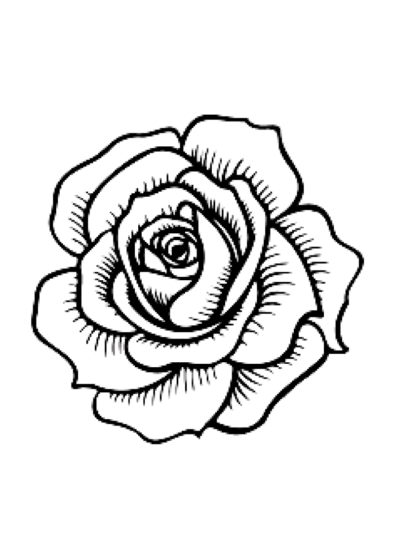 fleur-516-standard-j2116l.png