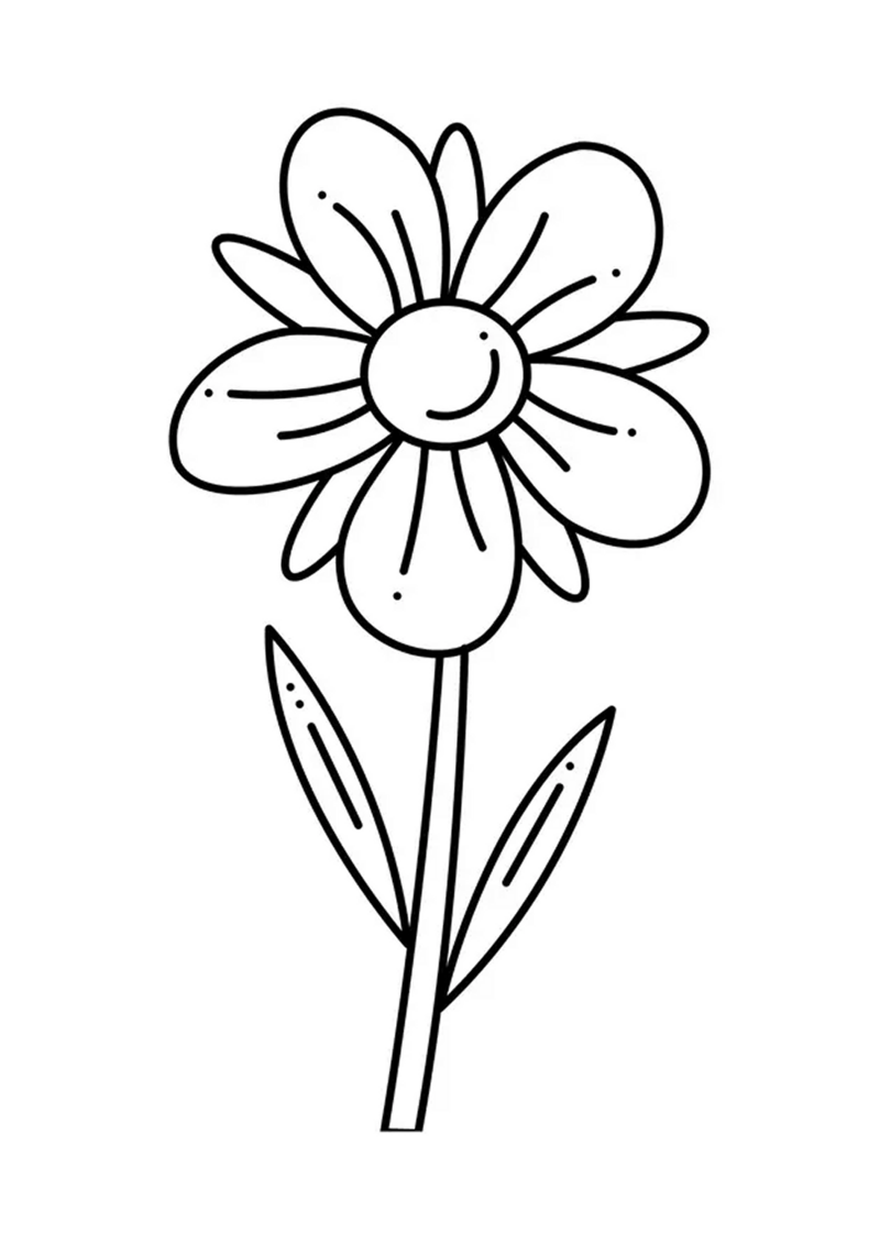 fleur-517-standard-61gkds.png