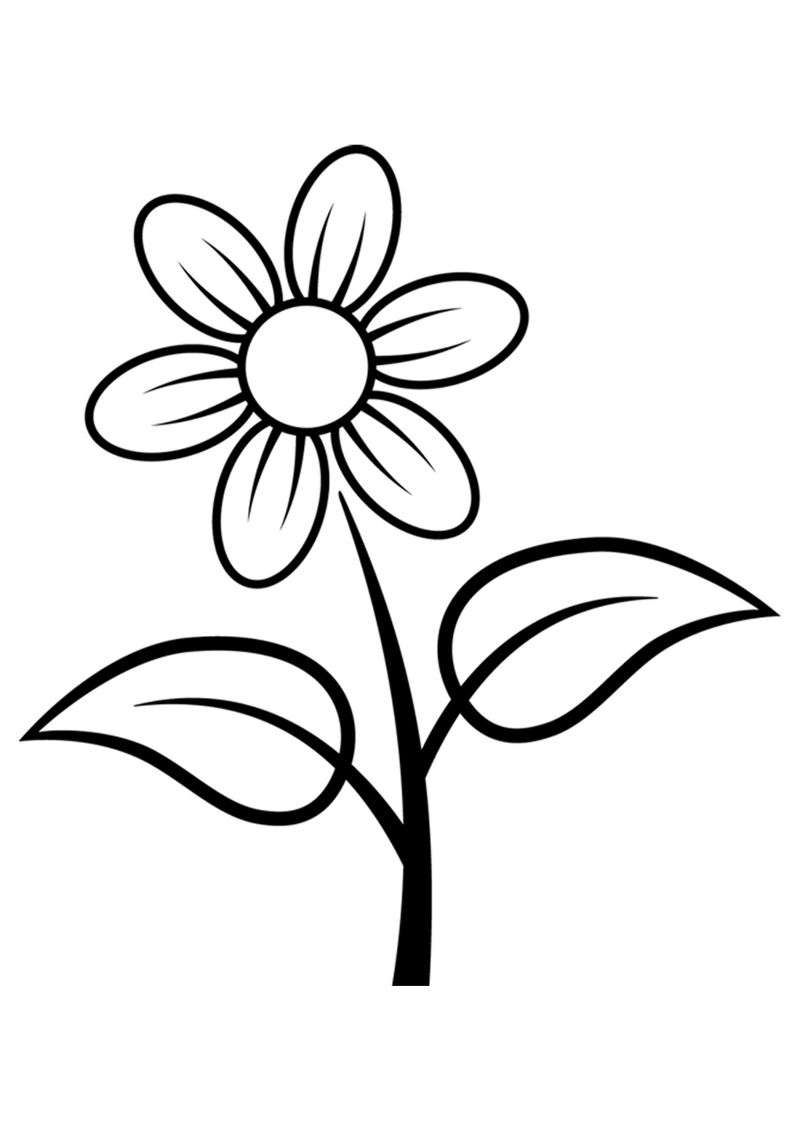 fleur-519-standard-1kagfp.png