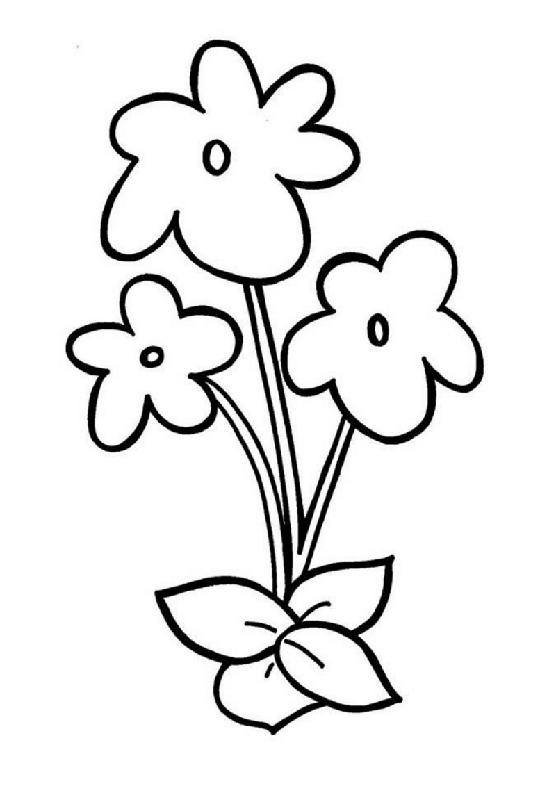 fleur-521-standard-29mtvk.png