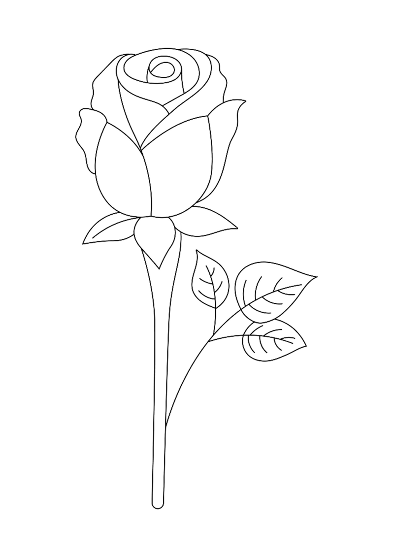 fleur-525-standard-bkrw4m.png