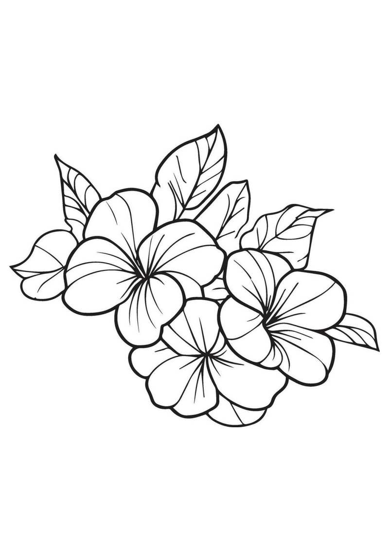 fleur-526-standard-zsk57s.png