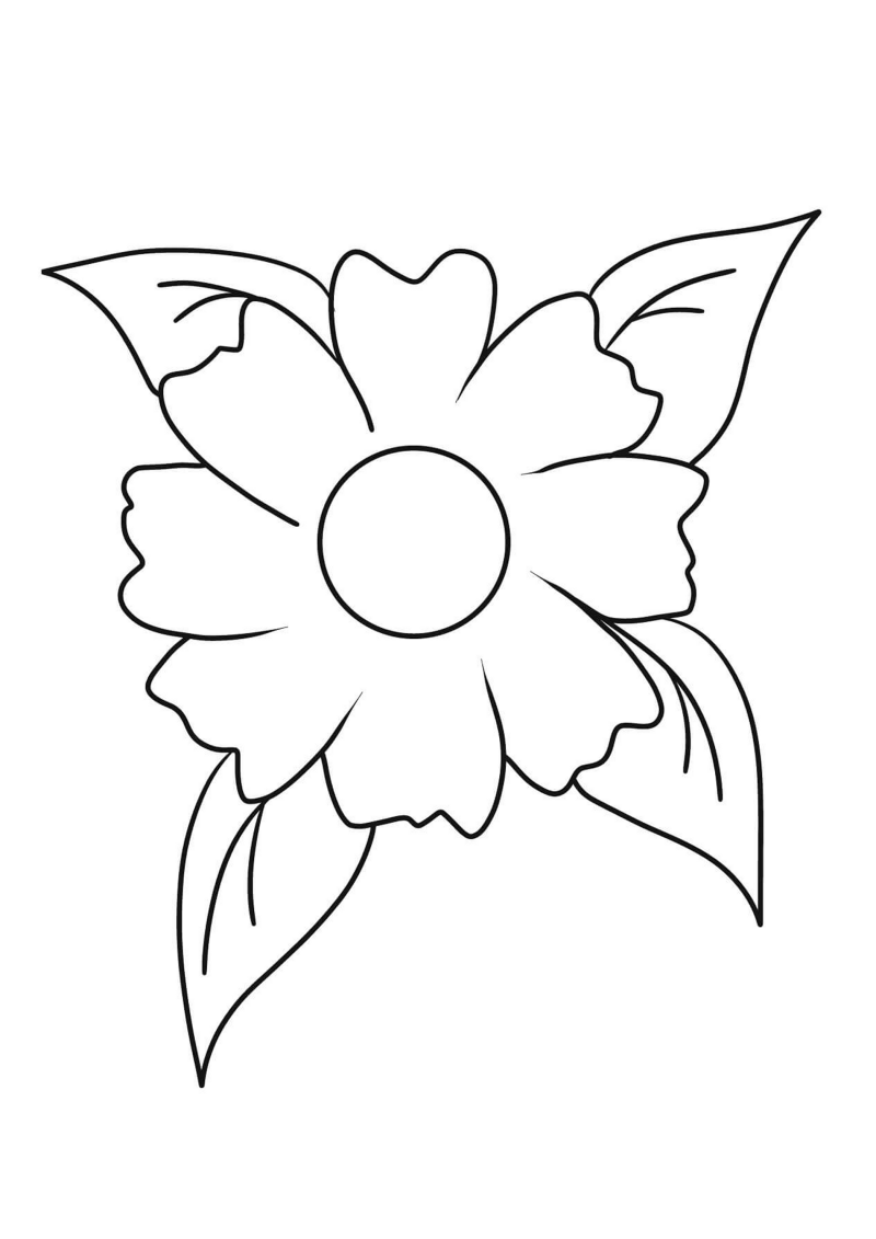 fleur-529-standard-miooej.png