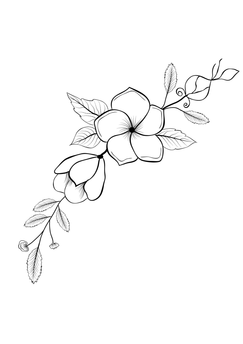 fleur-531-standard-hcquct.png