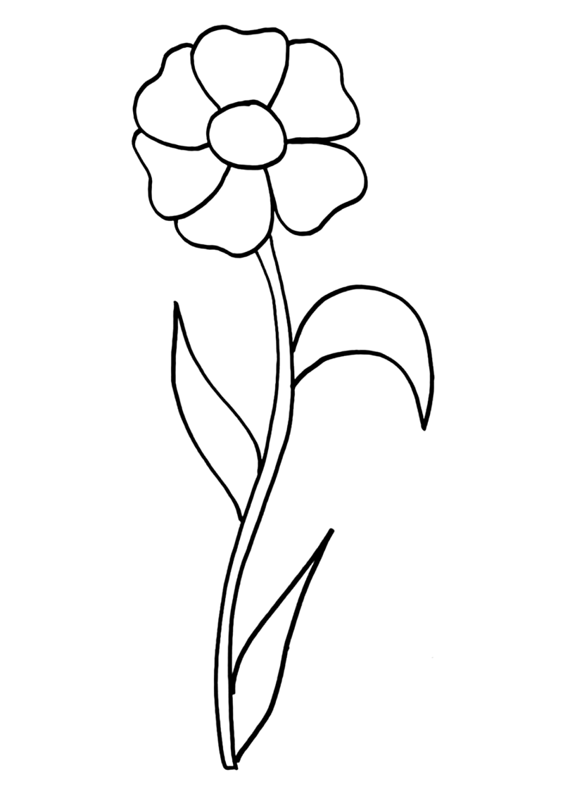 fleur-537-standard-9e5w4p.png