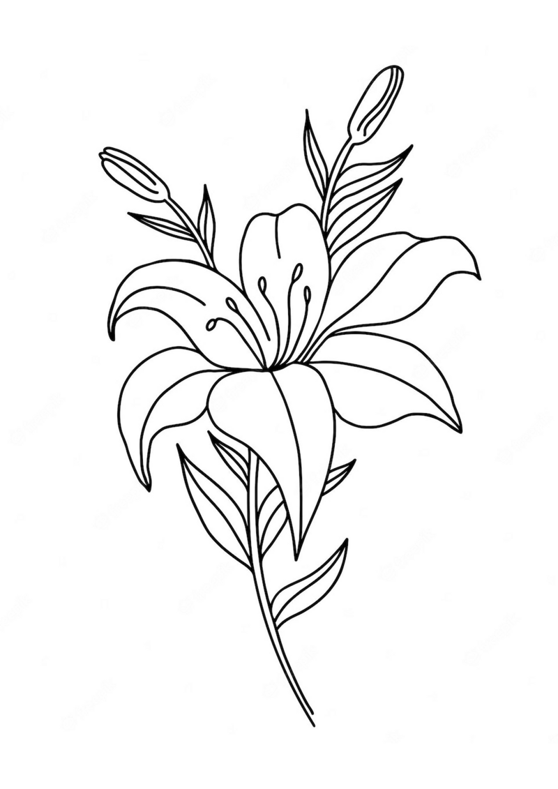 fleur-539-standard-yoyf2c.png