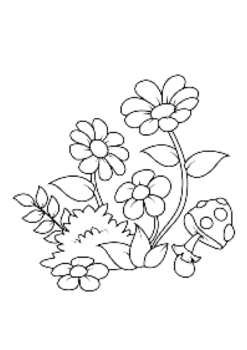 fleur-552-standard-53cg1t.png