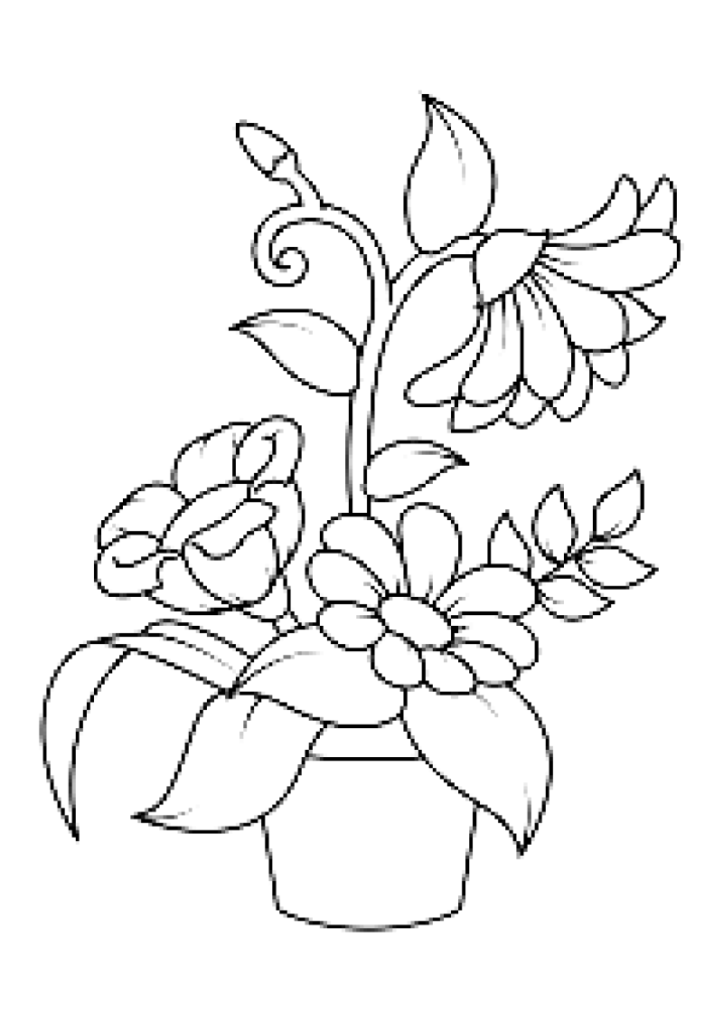 fleur-553-standard-b6ypzf.png