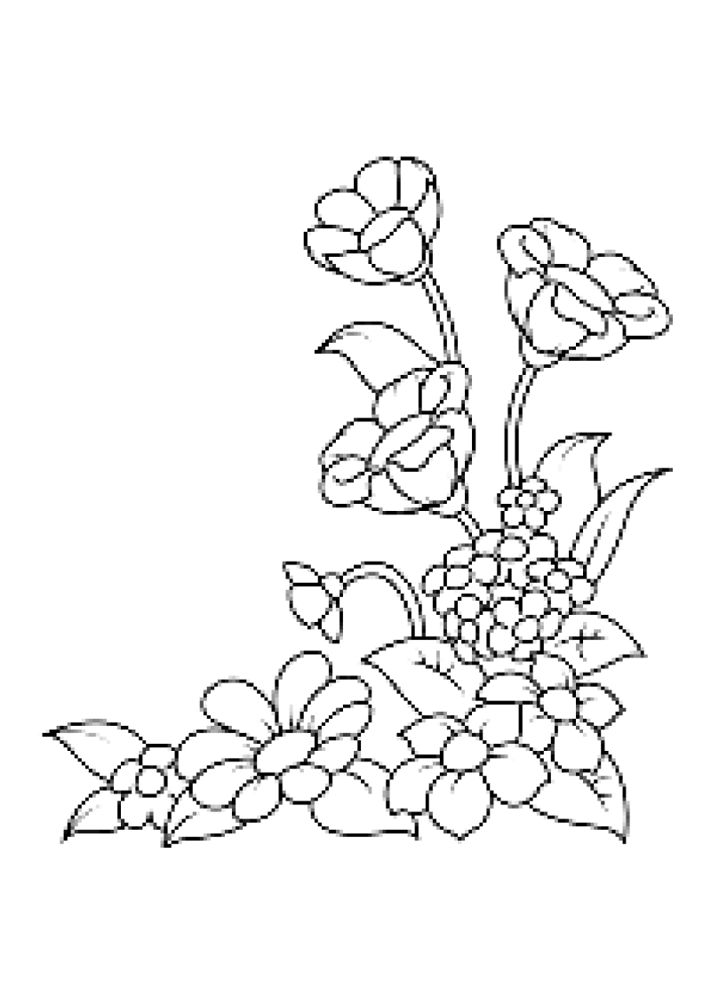 fleur-554-standard-e8hrbu.png