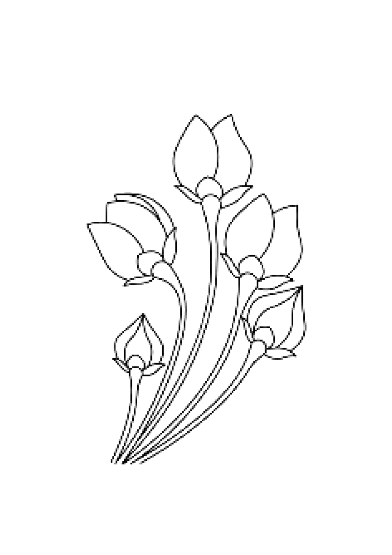 fleur-555-standard-tqyyl2.png