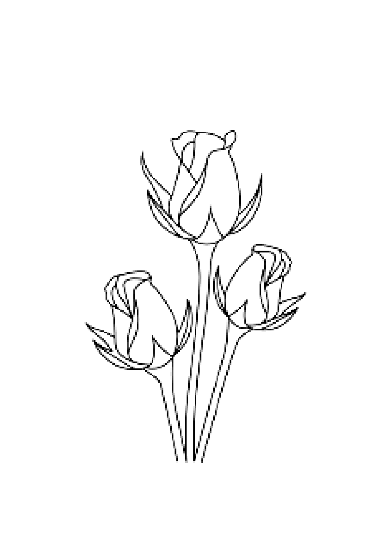 fleur-556-standard-hgnhou.png