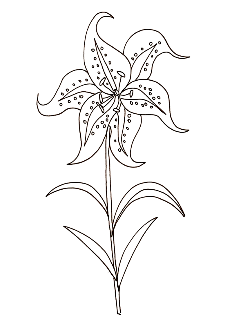 fleur-558-standard-cfcfge.png