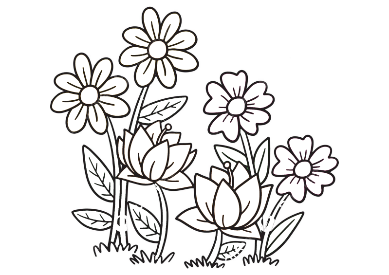 fleur-560-standard-h10rpa.png