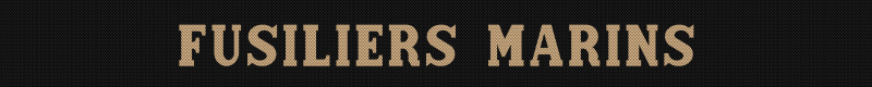 fusiliers-marins-standard-iffq3n.png