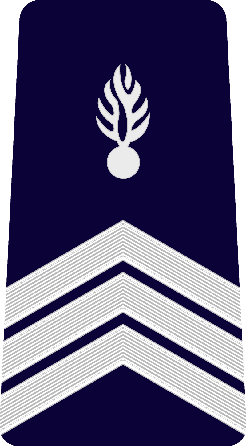 gendarme-csta-standard-buzs5g.png