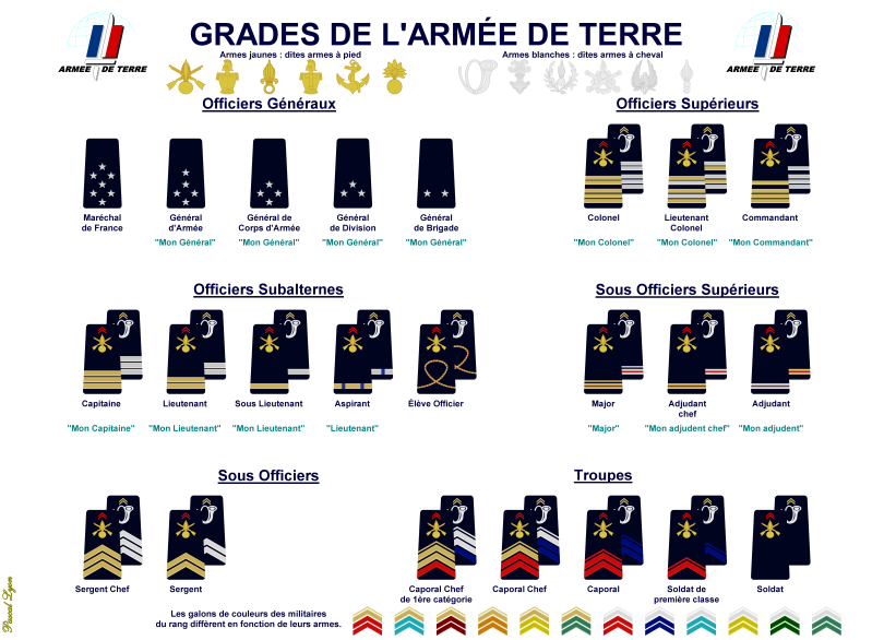 grades-de-l-arm-e-de-terre-standard-6zv86v.png
