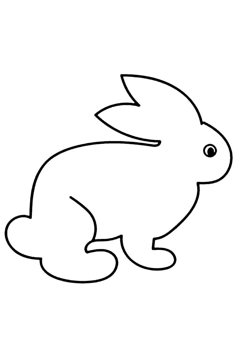 lapin-001-standard.jpg