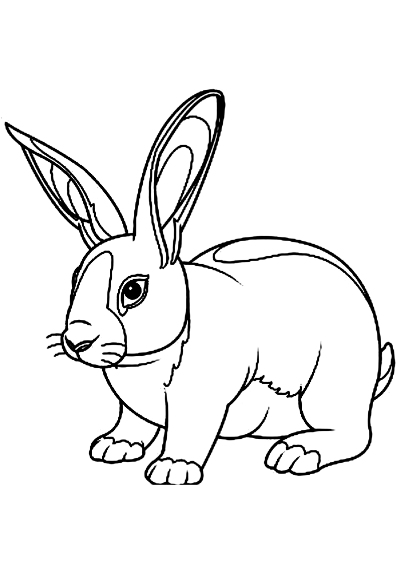 lapin-525-standard-j7e2hq.png