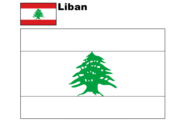 liban-standard.png