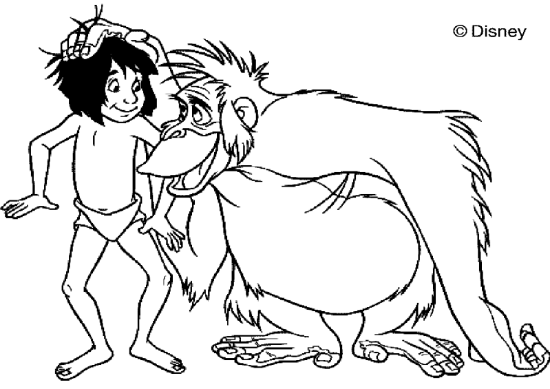 mowgli-standard-c4h984.png