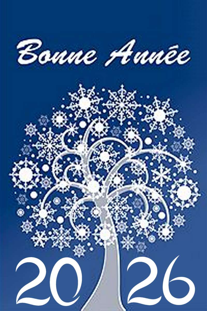 nouvel-an-016-standard.png