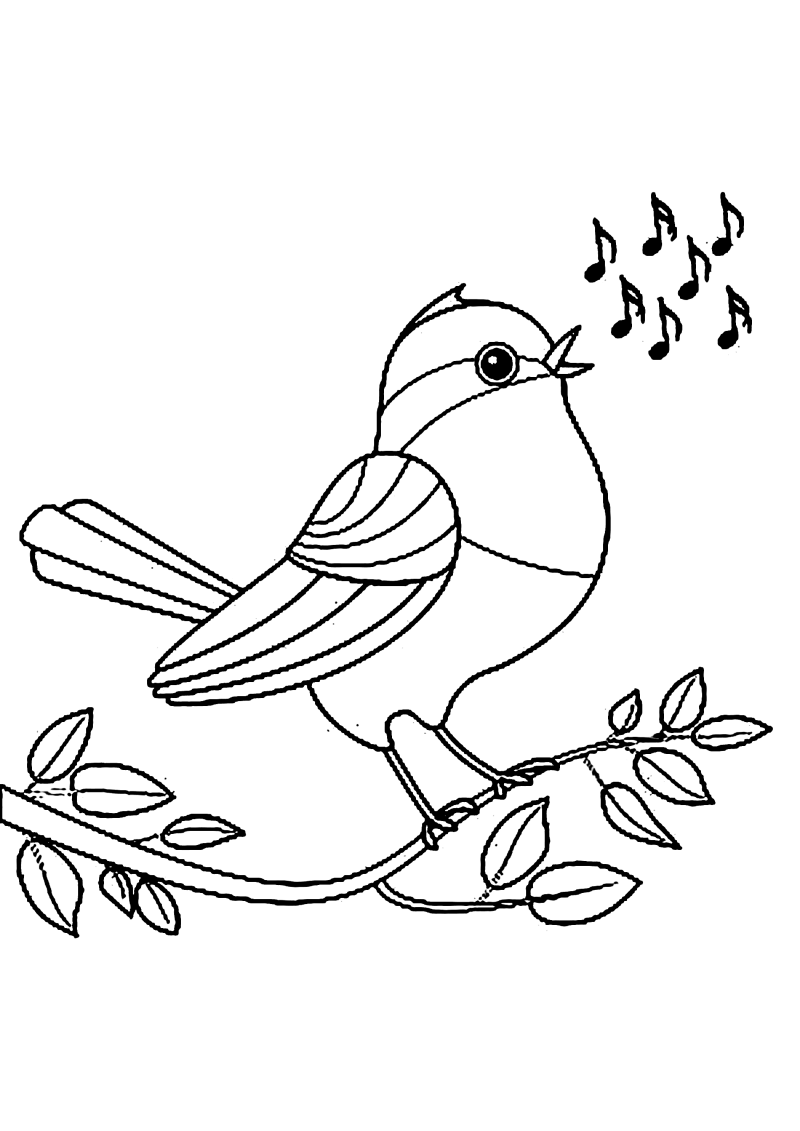 oiseau-676-standard-csksaw.png