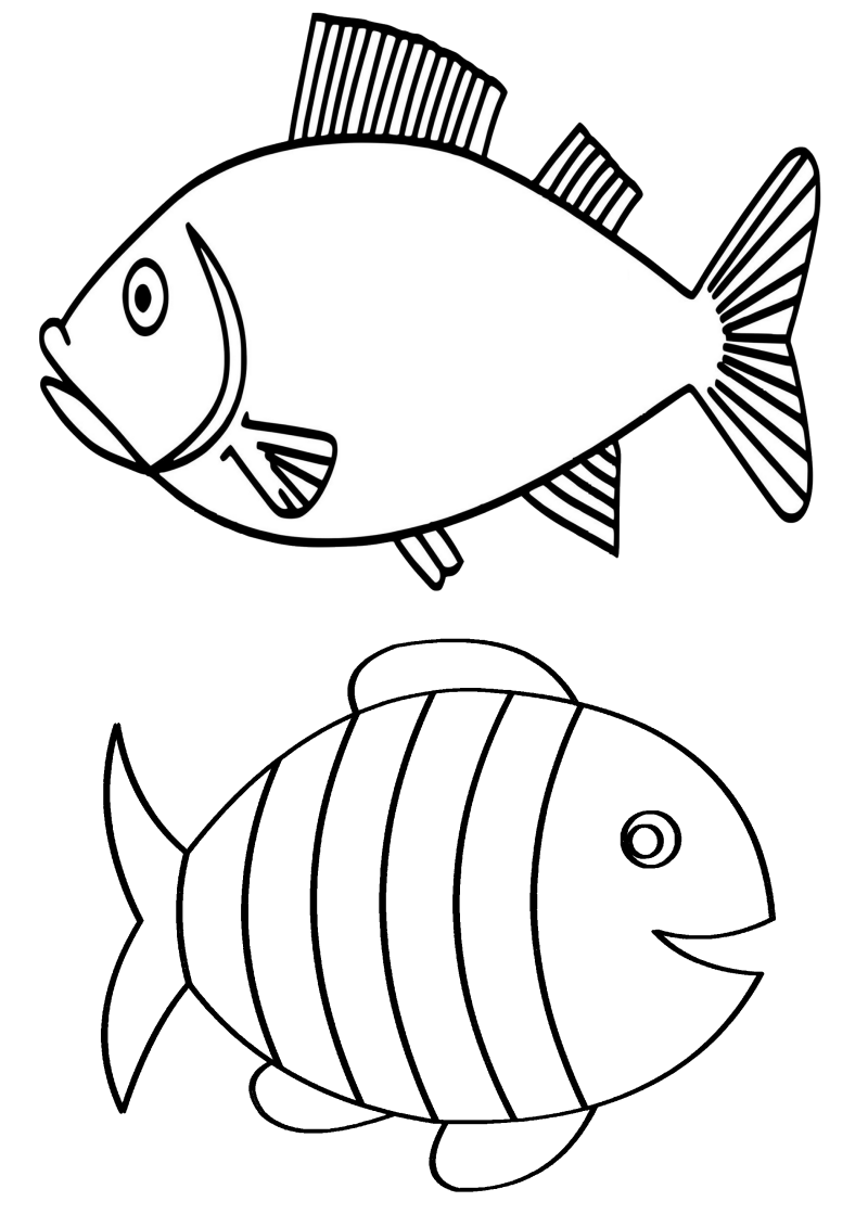 poisson-041-standard.png