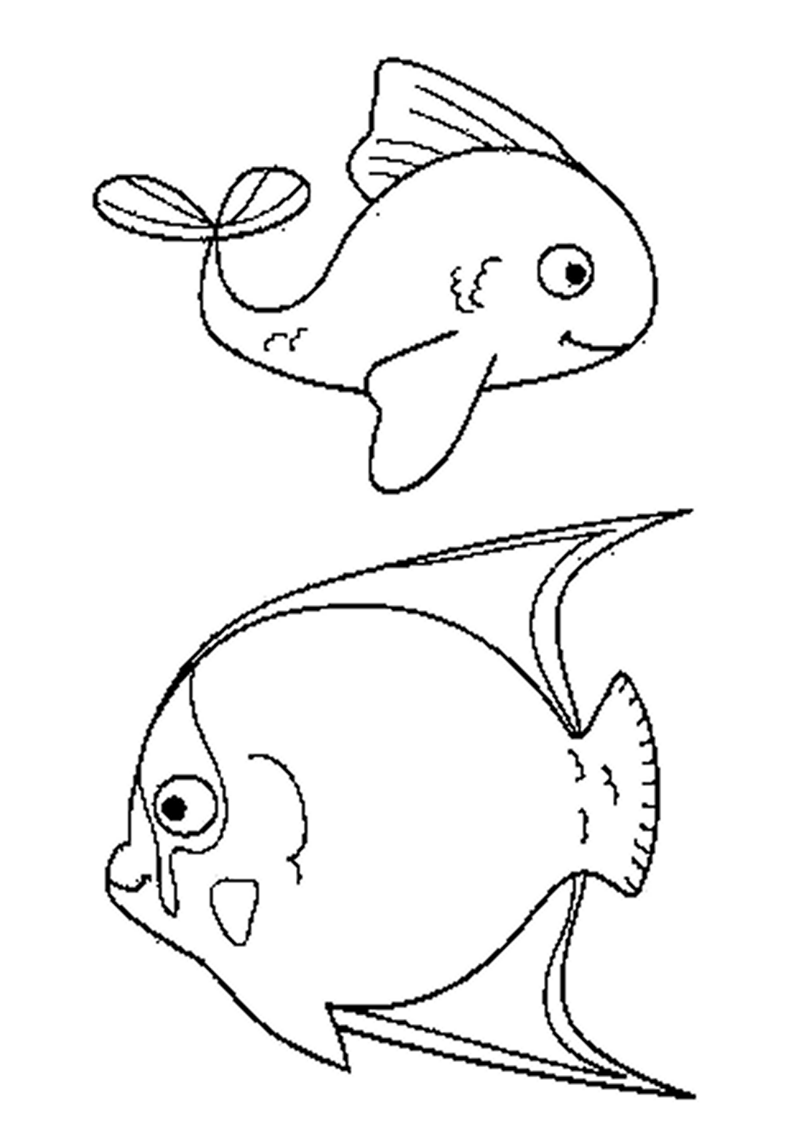 poisson-050-standard.png