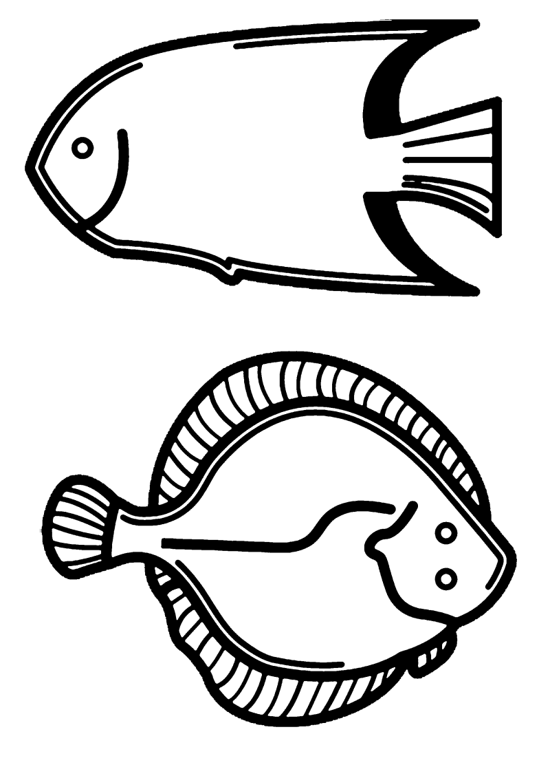 poisson-060-standard.png