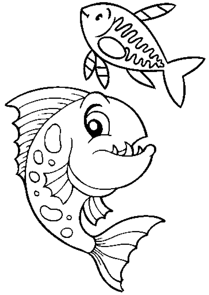 poisson-064-standard.png