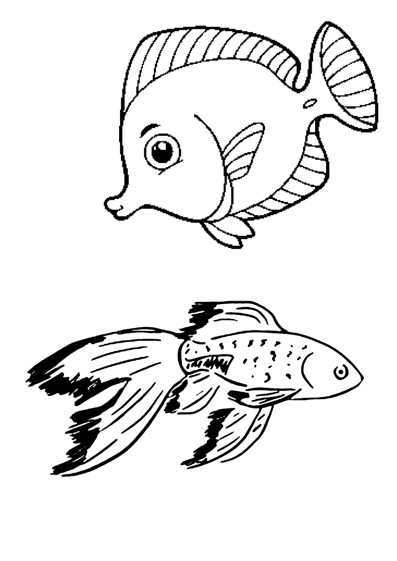 poisson-066-standard.png