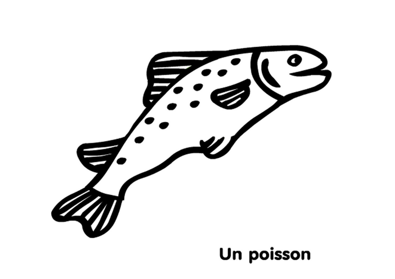 poisson-standard-vxjtv9.png