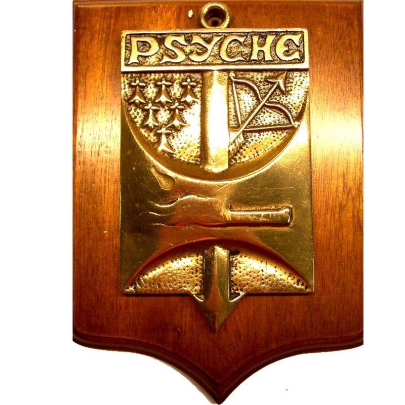 psyche-standard.png