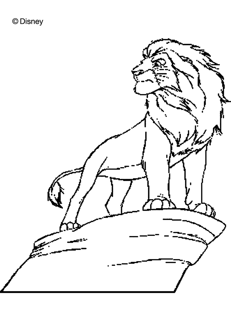 roi-lion-nb-20-standard-rn8dbi.png