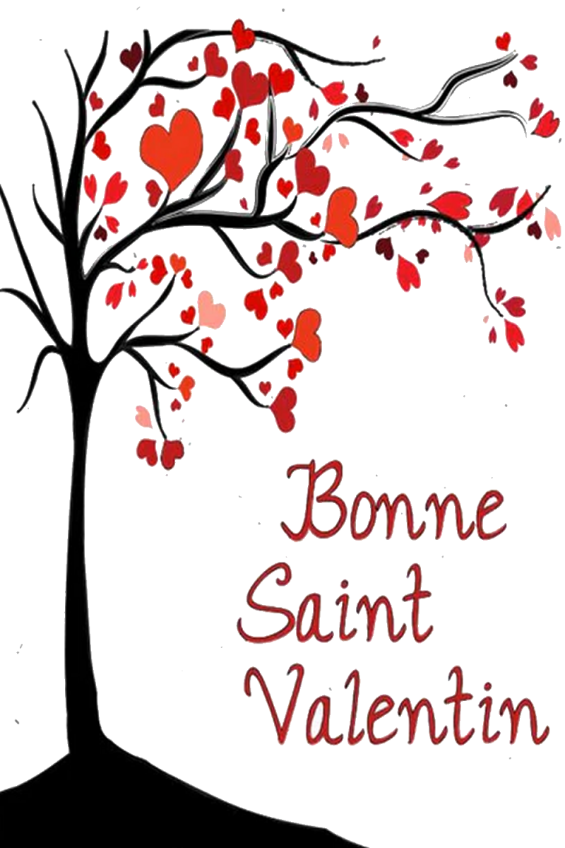 saint-valentin-021-standard-q5kt00.png