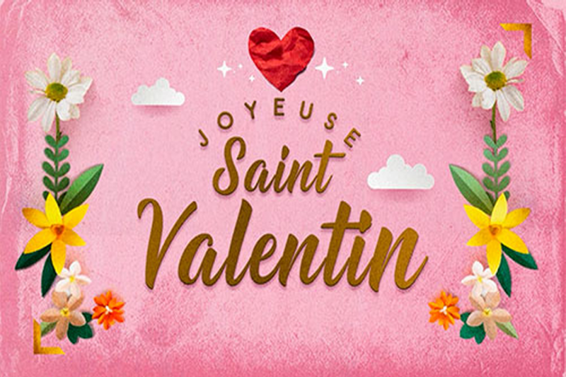 saint-valentin-117-standard.png